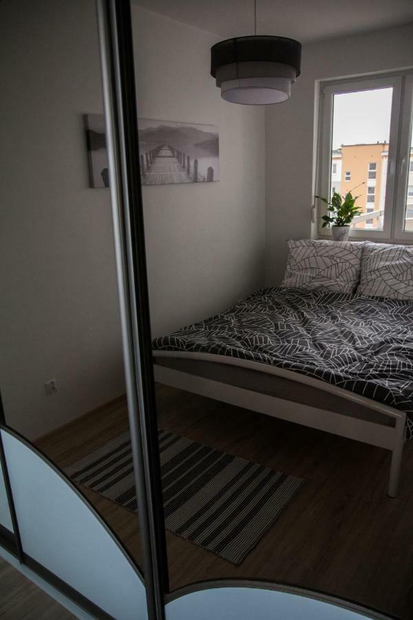 Stary Toruń Apartament F&J מראה חיצוני תמונה