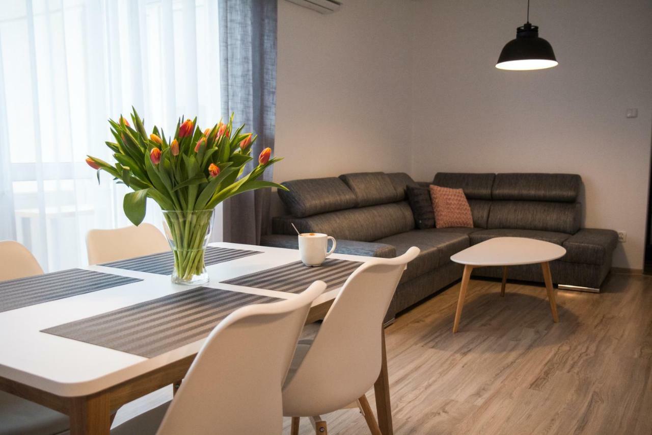 Stary Toruń Apartament F&J מראה חיצוני תמונה