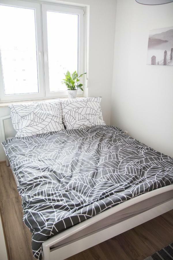 Stary Toruń Apartament F&J מראה חיצוני תמונה
