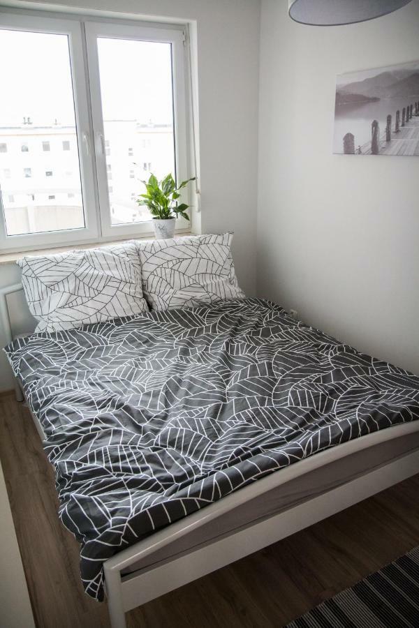 Stary Toruń Apartament F&J מראה חיצוני תמונה